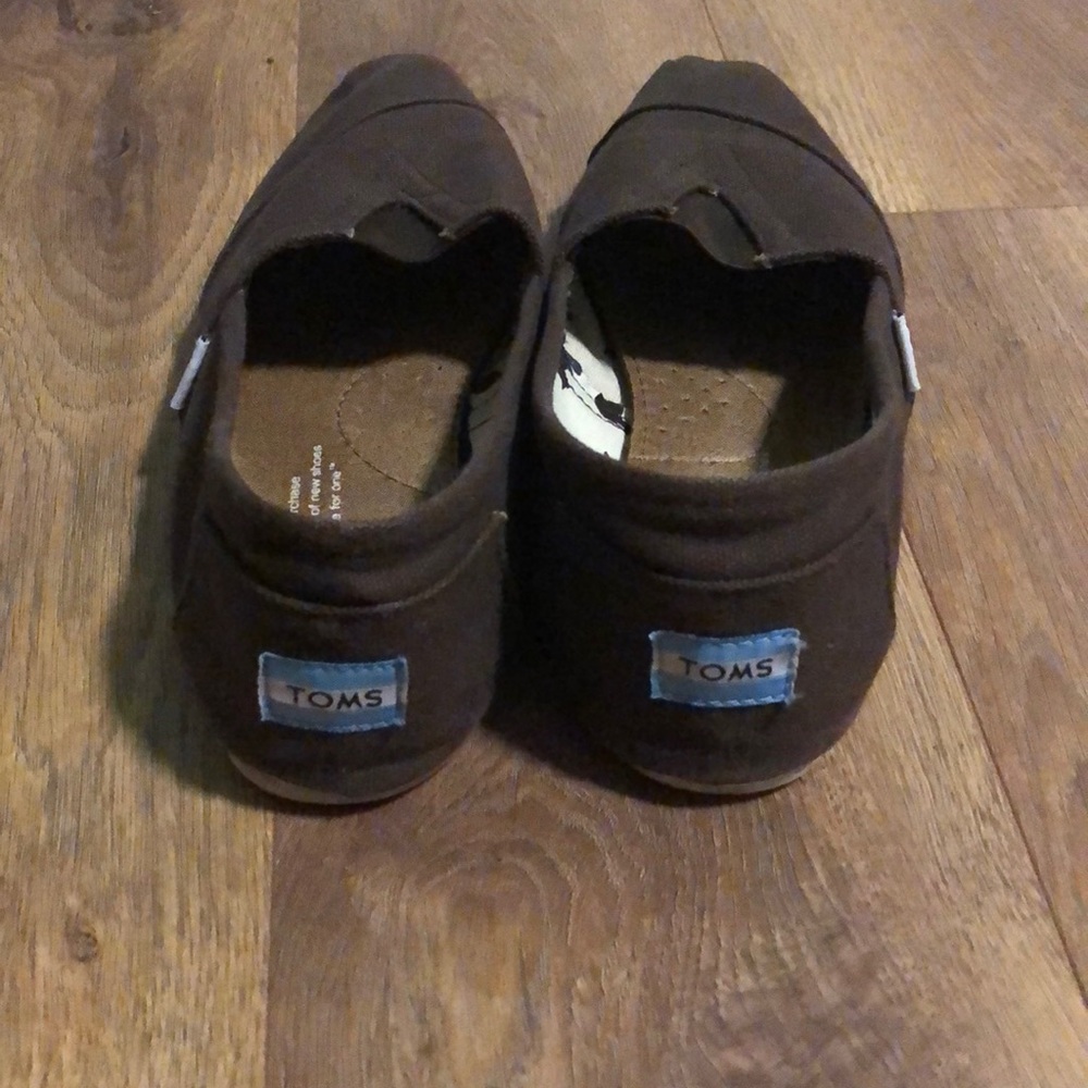 Brown Toms